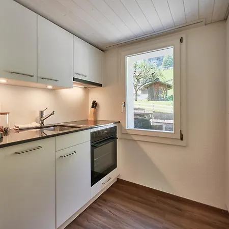 1 Apartment Lauterbrunnen