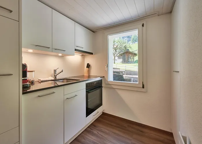 1 Lejlighed Lauterbrunnen